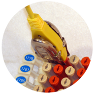 TC-PB2H Pair Bond- RJ45 Y (2) Self Str